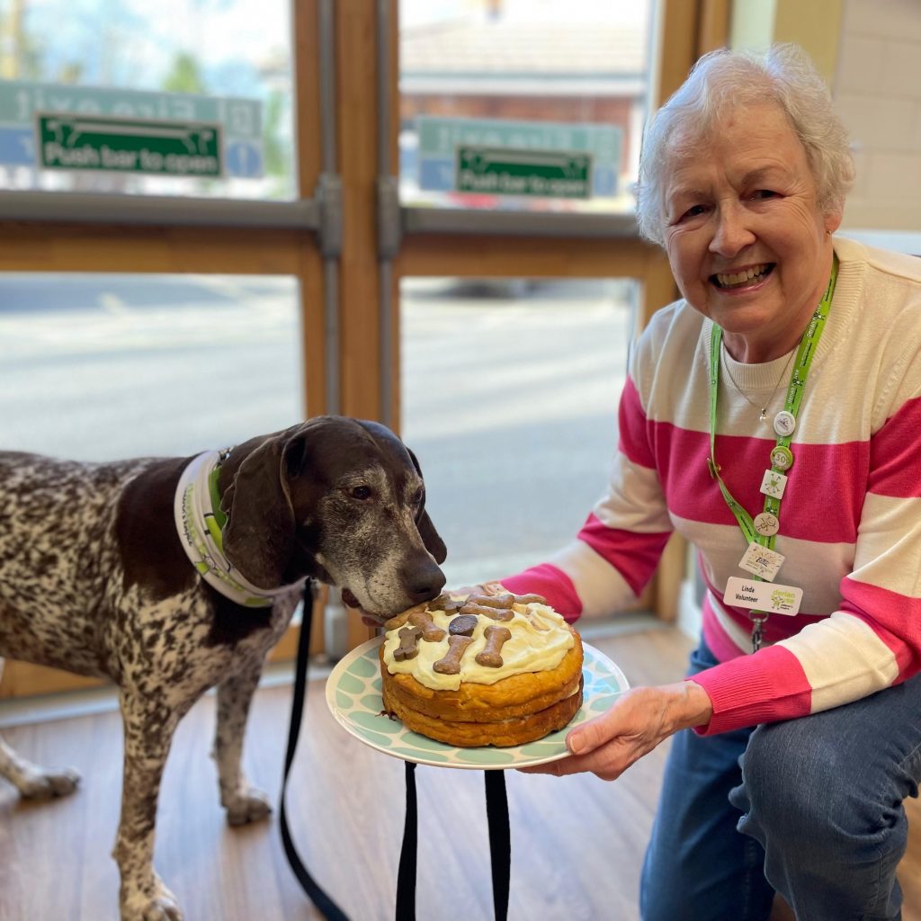 Su-paw-star Shuna retires after years of making poorly children smile